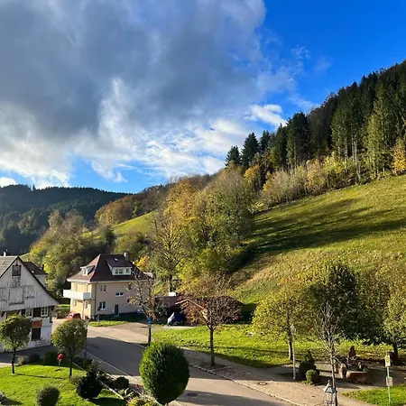 Schwarzwaldliebe Apartment